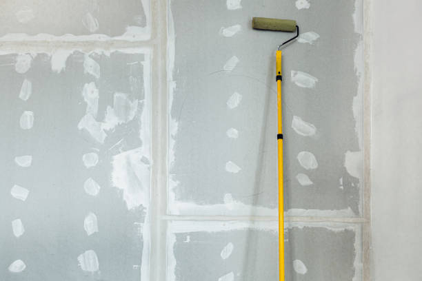 Best Drywall Texturing  in San Carlos, TX